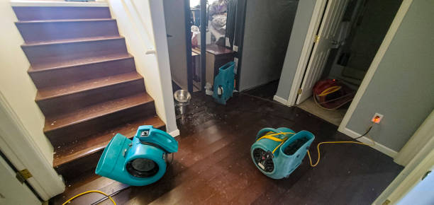 Best Carpet water damage restoration  in Lakewood, CA