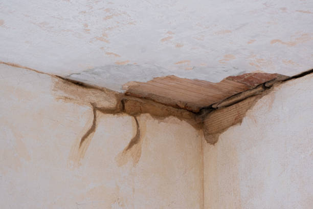 Best Water damage restoration near me  in Lakewood, CA