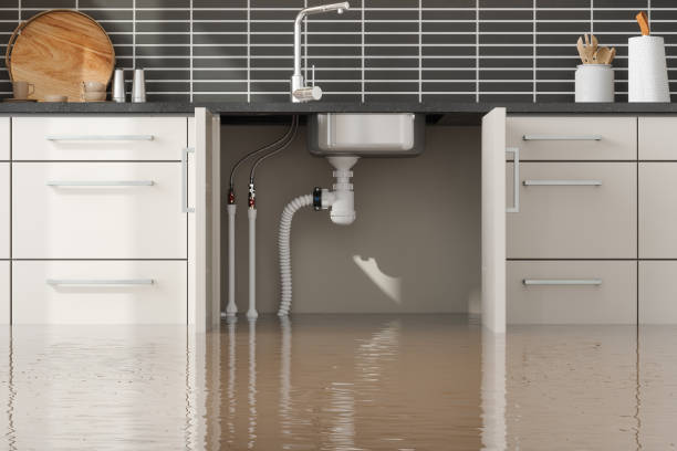 Best Mold removal after water damage  in Lakewood, CA